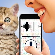 Взломанная Переводчик языка кошек шутка на Андроид - Взлом на деньги