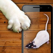 Взломанная Мышь для кота - игрушка на Андроид - Взлом много денег