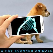 Рентгеновский сканер Животные