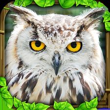 Взломанная Owl Simulator на Андроид - Взлом все открыто