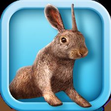 Взломанная Bunny Simulator на Андроид - Взлом много денег