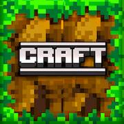  Craft Build Block   -   