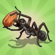  Pocket Ants:     -   