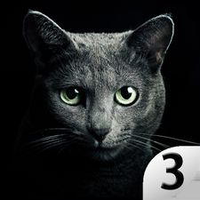 Взломанная Найди кота 3 на Андроид - Взлом много денег