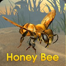 Взломанная Honey Bee Simulator на Андроид - Взлом много денег