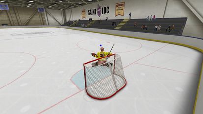  Virtual Goaltender   -   