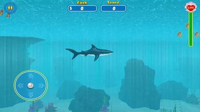 Взломанная Shark Attack Wild Simulator на Андроид - Взлом все открыто