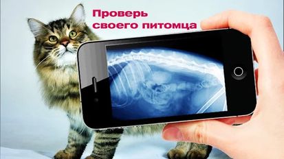 Взломанная Симулятор Рентгена Кошки на Андроид - Взлом много денег