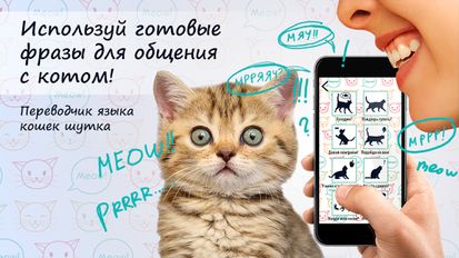 Взломанная Переводчик языка кошек шутка на Андроид - Взлом на деньги