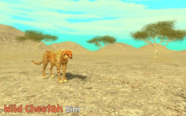Взломанная Wild Cheetah Sim 3D на Андроид - Взлом много денег