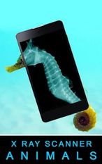 Взломанная Рентгеновский сканер Животные на Андроид - Взлом много денег