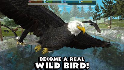 Взломанная Ultimate Bird Simulator на Андроид - Взлом много денег