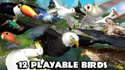 Взломанная Ultimate Bird Simulator на Андроид - Взлом много денег