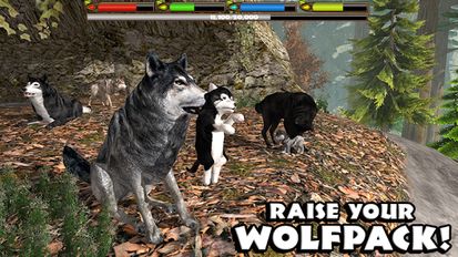Взломанная Ultimate Wolf Simulator на Андроид - Взлом много денег