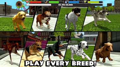 Взломанная Stray Dog Simulator на Андроид - Взлом много денег