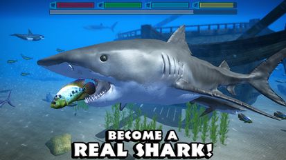 Взломанная Ultimate Shark Simulator на Андроид - Взлом все открыто