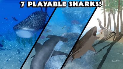 Взломанная Ultimate Shark Simulator на Андроид - Взлом все открыто
