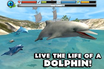 Взломанная Dolphin Simulator на Андроид - Взлом на деньги