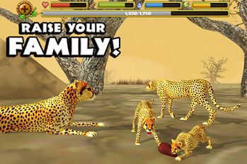 Взломанная Cheetah Simulator на Андроид - Взлом много денег