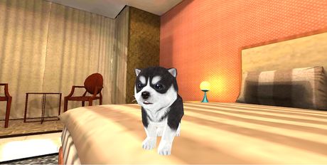 Взломанная Собака щенок Симулятор 3D на Андроид - Взлом все открыто