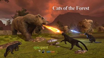  Cats of the Forest   -   