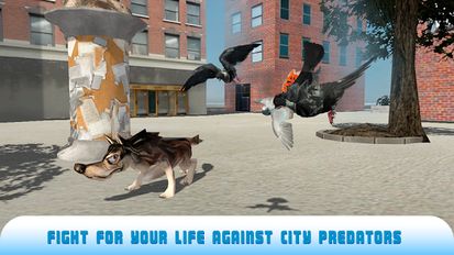 Взломанная Flying Bird Pigeon Simulator 2 на Андроид - Взлом много денег