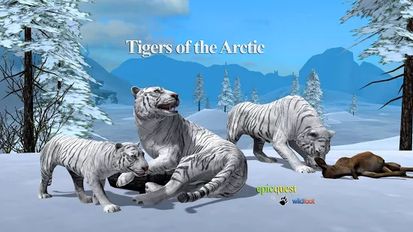  Tigers of the Arctic   -   