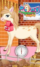  Pony Pregnancy Maternity   -   
