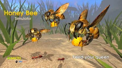  Honey Bee Simulator   -   