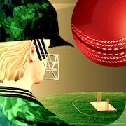Взломанная Cricket Fly - Sports Game на Андроид - Взлом все открыто