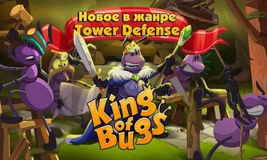    [King of Bugs]   -   