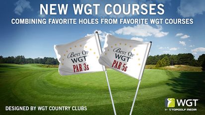  WGT Golf Game by Topgolf   -   