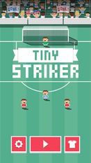  Tiny Striker   -   