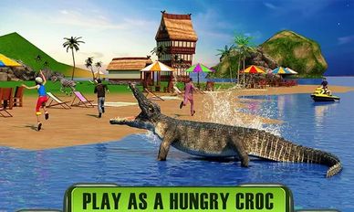  Crocodile Attack 2016   -   