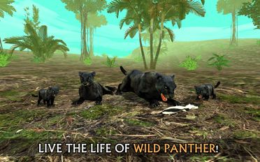  Wild Panther Sim 3D   -   