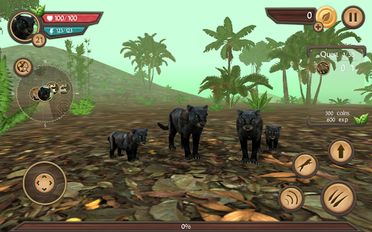 Wild Panther Sim 3D   -   