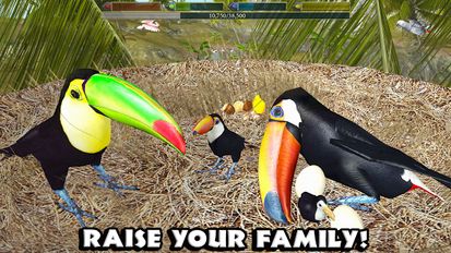  Ultimate Bird Simulator   -   