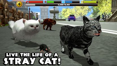 Взломанная Stray Cat Simulator на Андроид - Взлом все открыто