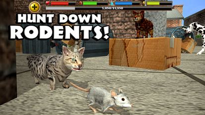 Взломанная Stray Cat Simulator на Андроид - Взлом все открыто