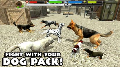  Stray Dog Simulator   -   