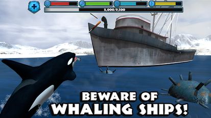  Orca Simulator   -   