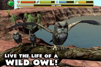 Взломанная Owl Simulator на Андроид - Взлом все открыто