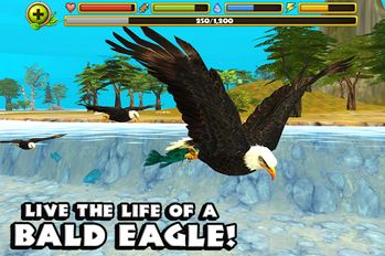  Eagle Simulator   -   