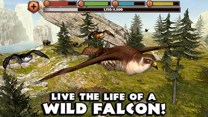  Falcon Simulator   -   