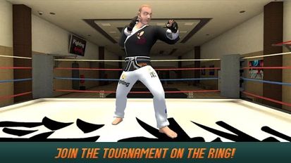  Karate Fighting Tiger 3D - 2   -   