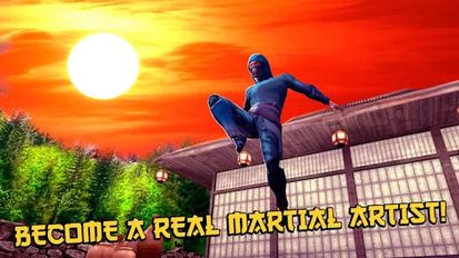  Ninja Kung Fu Fighting 3D   -   