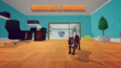  Bunny Simulator   -   