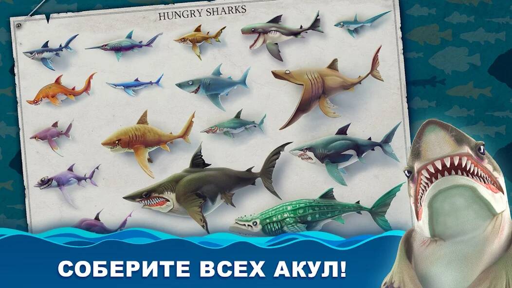  Hungry Shark World   -   