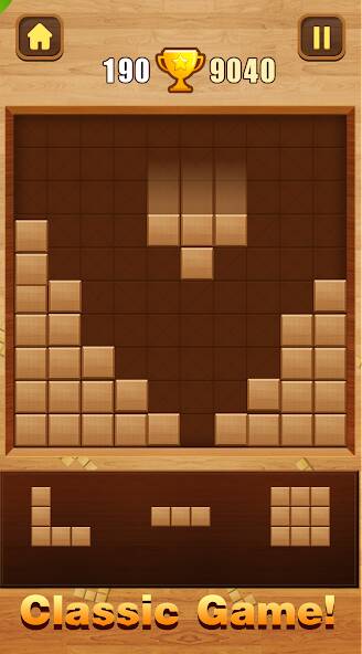  Wood Block Puzzle   -   