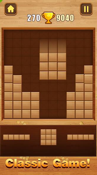  Wood Block Puzzle   -   